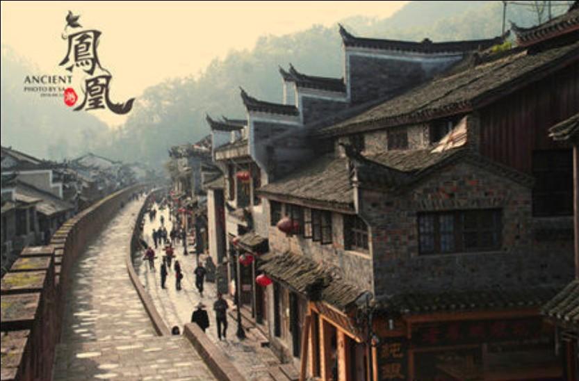 拯救精灵的土地8